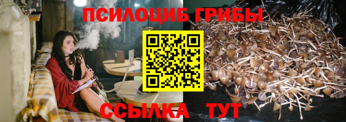 Псилоцибиновые грибы MAGIC MUSHROOMS  Галлюциногенные грибы MAGIC MUSHROOMS  Чистополь  закладки  Вход с VPN 