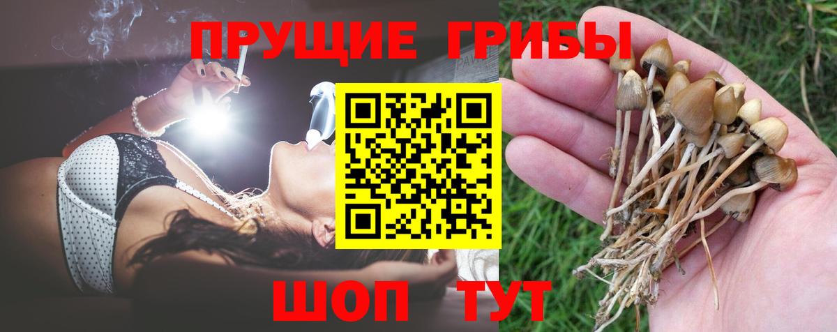 Псилоцибиновые грибы прущие грибы Чистополь